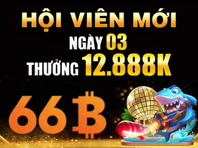 66b hạ long – Trải nghiệm và giá trị thương hiệu