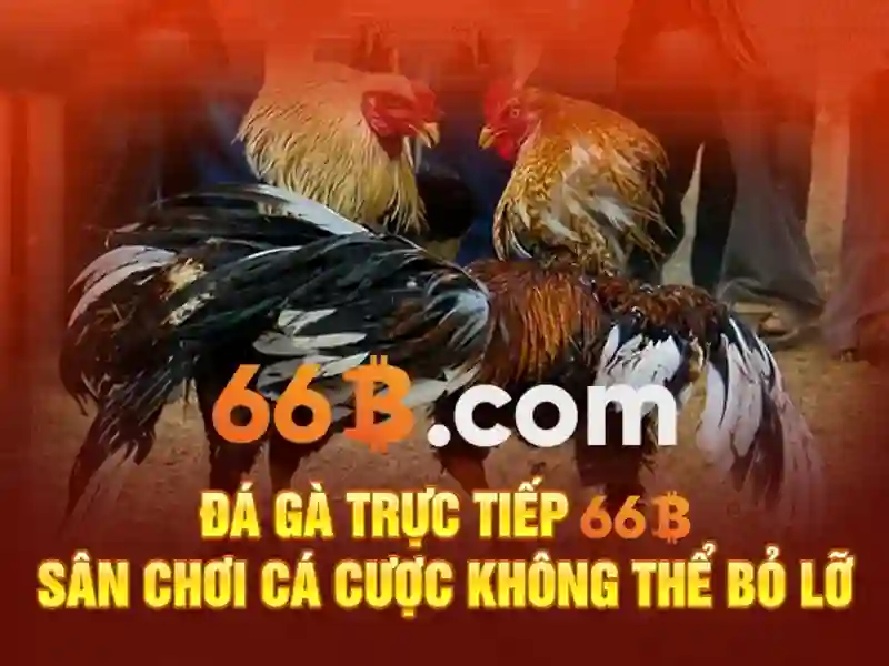 rah-66b – chủ đề tổng quan và giá trị cốt lõi