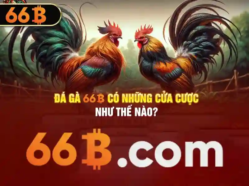 66b là gì và tiềm năng của nó