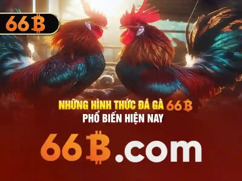 Trải nghiệm người dùng và phản hồi từ cộng đồng