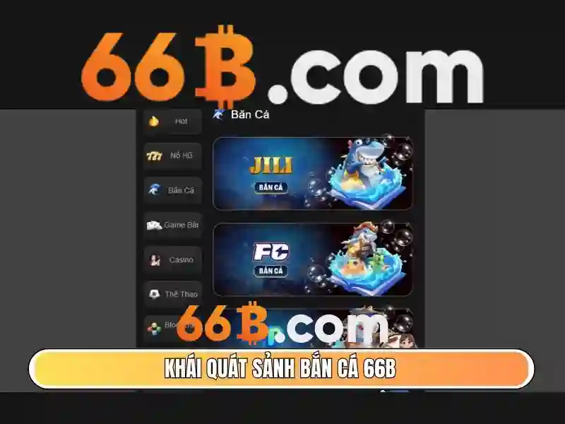 66B là gì và tại sao nó quan trọng\n\n