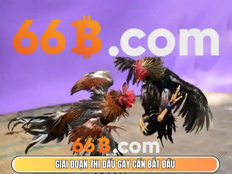 So sánh với các mô hình khác