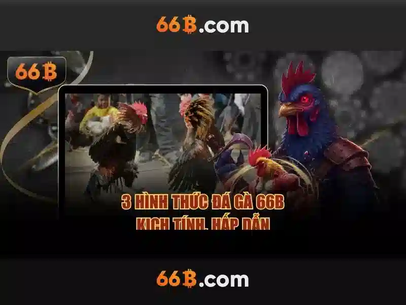 pt6a-66b – Giải pháp thương hiệu và 66b triều khúc