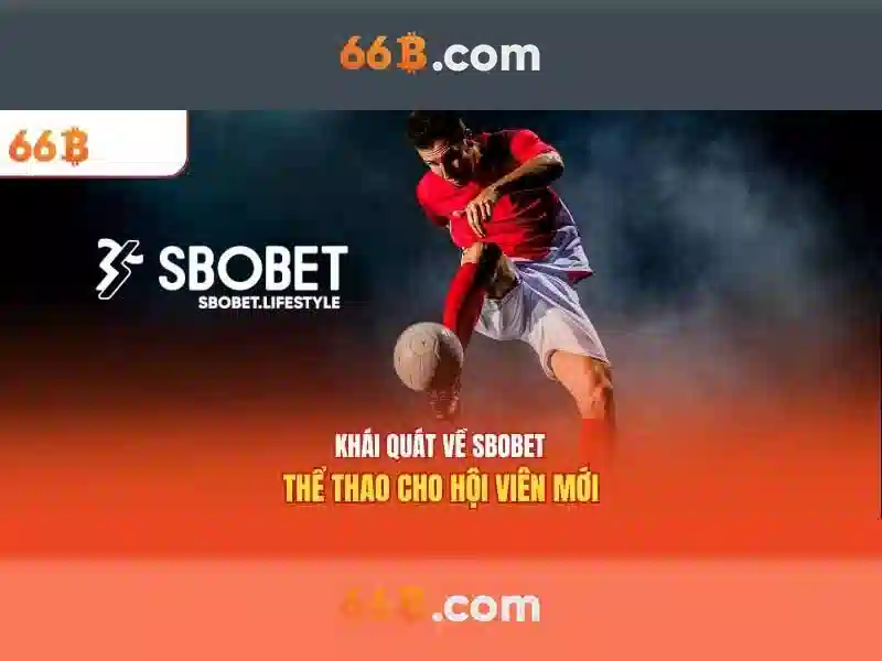 Khả năng và thách thức\n\n