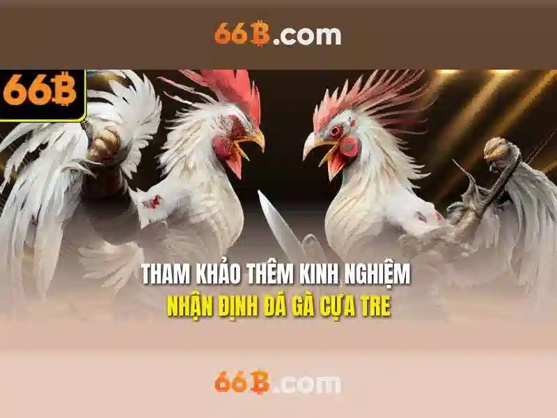 66B là gì? Mô hình ngôn ngữ 66 tỷ tham số và ứng dụng của nó