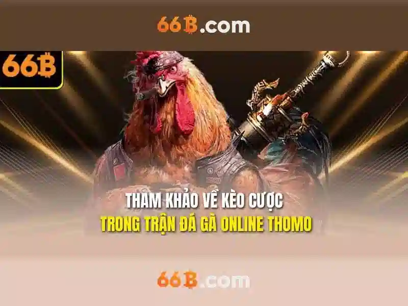 66b win – Tổng quan, sản phẩm và trải nghiệm nổi bật
