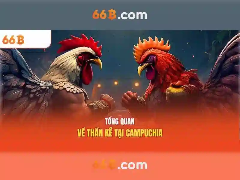 Kiến trúc và tham số của 66b
