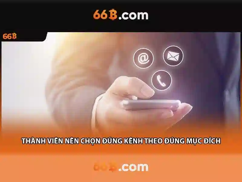 66b là gì?