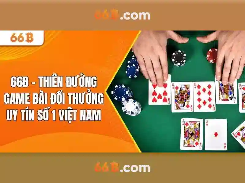 66b là gì?\n