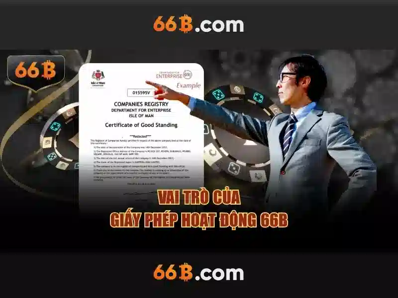 66B là gì?