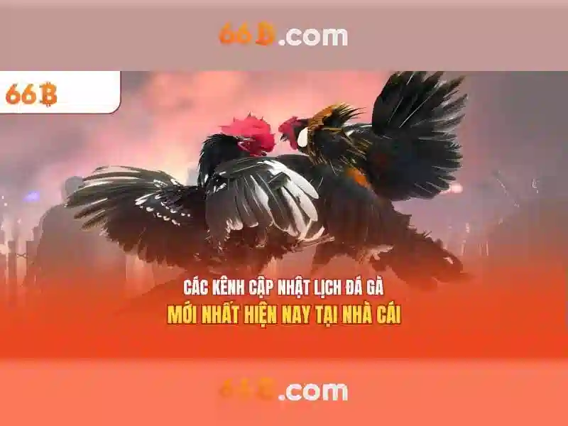Mô hình 66B: 66 tỷ tham số và những khía cạnh nổi bật