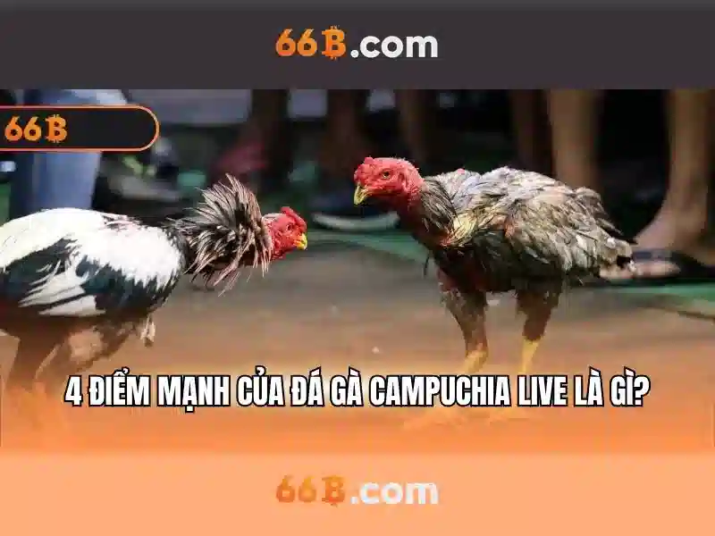 66b: Sự phát triển và ứng dụng của một mô hình ngôn ngữ tiên tiến
