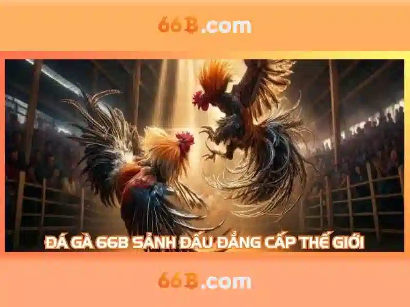 66b: Mô hình ngôn ngữ 66 tỷ tham số và những triển vọng