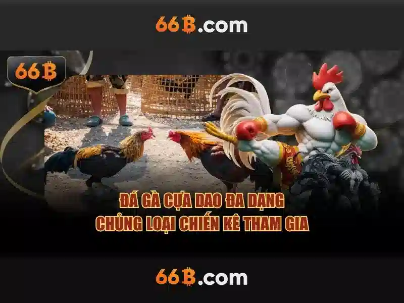 Ứng dụng hiện đại của 66b