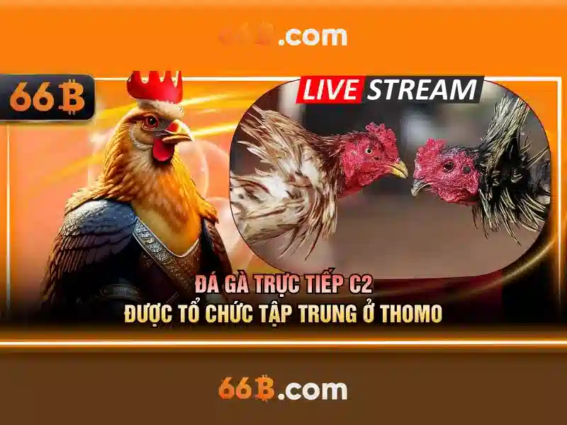 66b trong ứng dụng thực tế