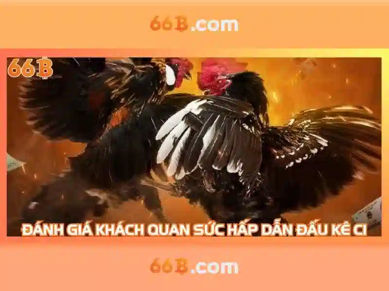 66B: Định nghĩa, Kiến trúc và Ứng dụng
