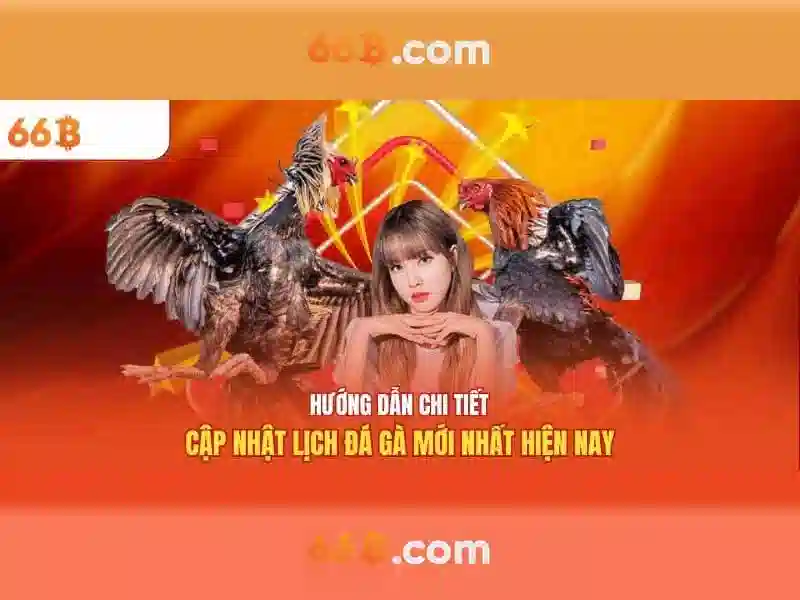 Thách thức và tiềm năng tương lai của 66B