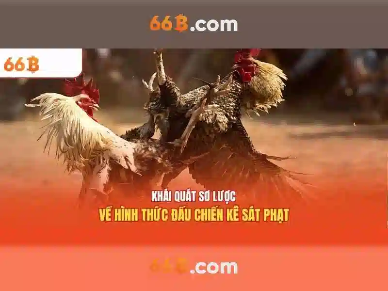 Đặc điểm chính