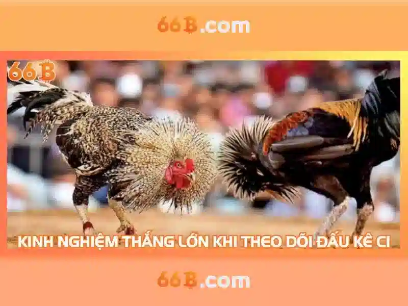 <!--IMG_PLACEHOLDER alt>Trải nghiệm người dùng và phản hồi của cộng đồng-->