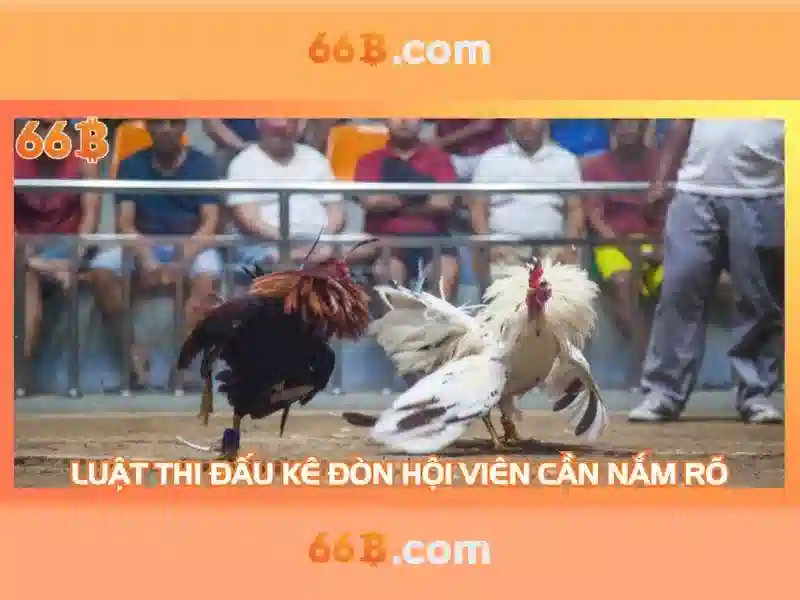 66b là khái niệm mới trong lĩnh vực công nghệ và khoa học