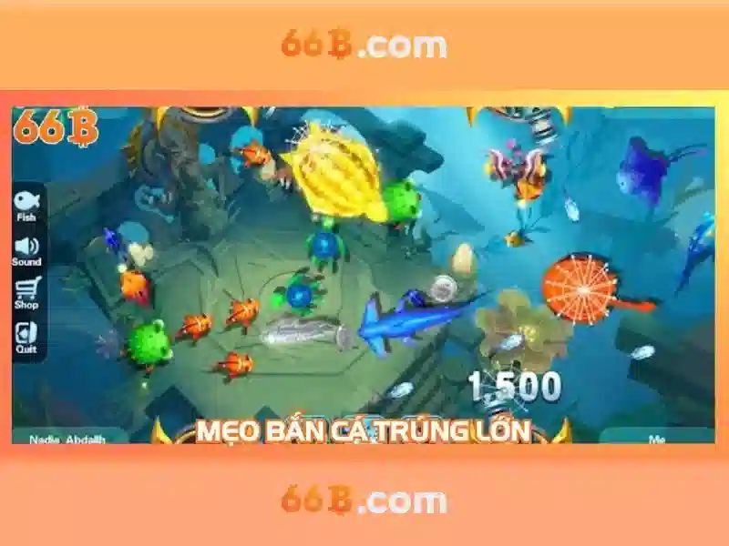 66b là gì?