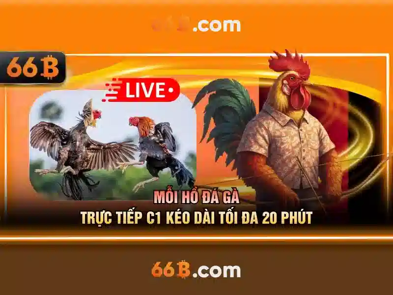 Ứng dụng phổ biến của 66B