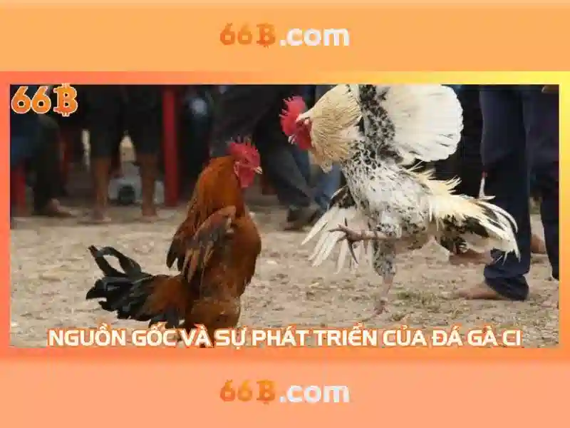 66B: Mô hình ngôn ngữ khối lượng lớn