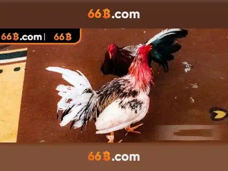 66b: Mô hình ngôn ngữ kích thước 66 tỷ tham số - tổng quan và ứng dụng