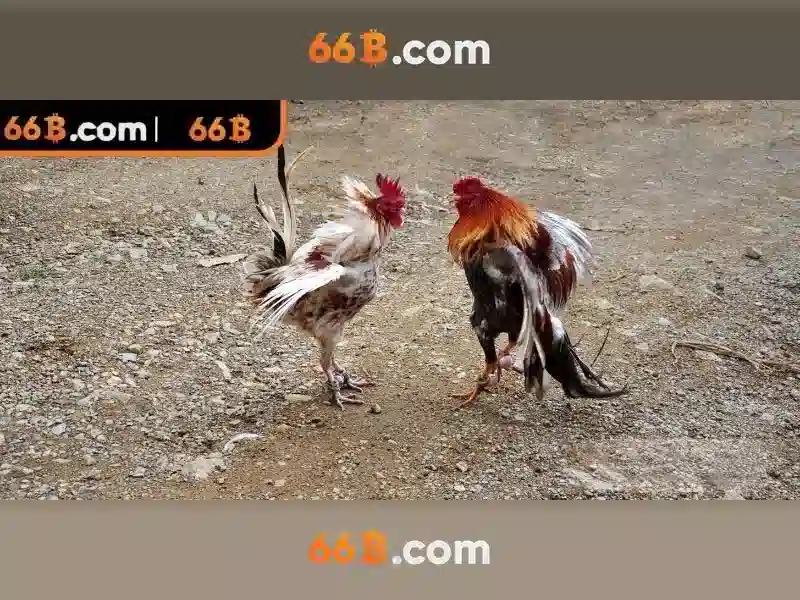 66B: Khai thác sức mạnh của mô hình ngôn ngữ lớn với 66 tỷ tham số