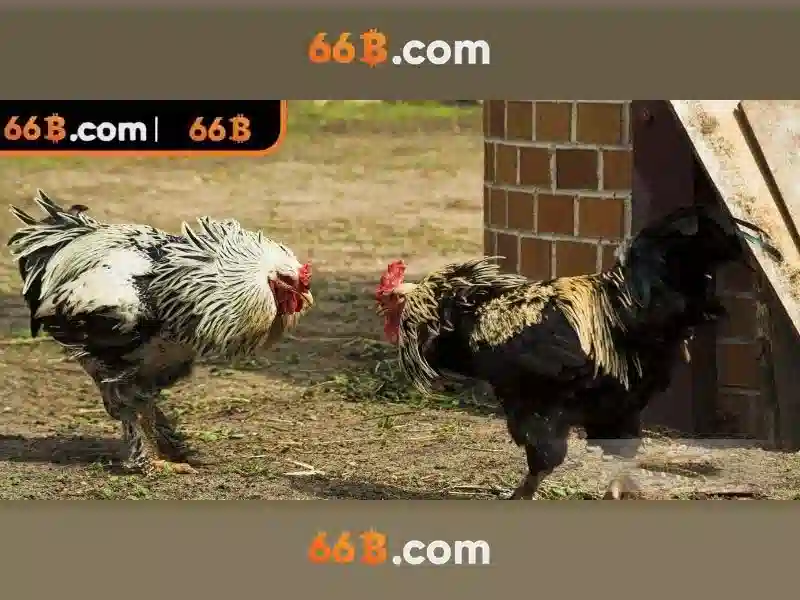 66b: khái niệm, kiến trúc và tiềm năng