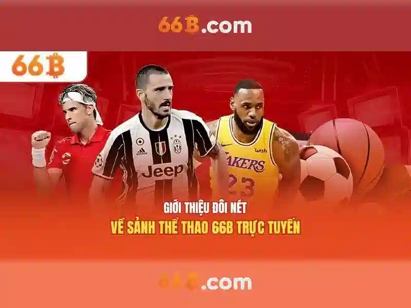 66B là gì?