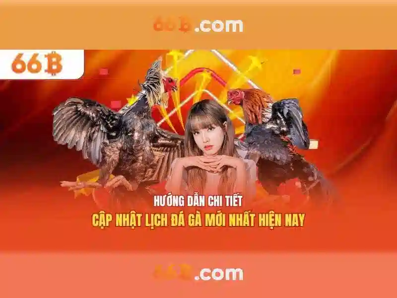 Giới thiệu về 66B\n