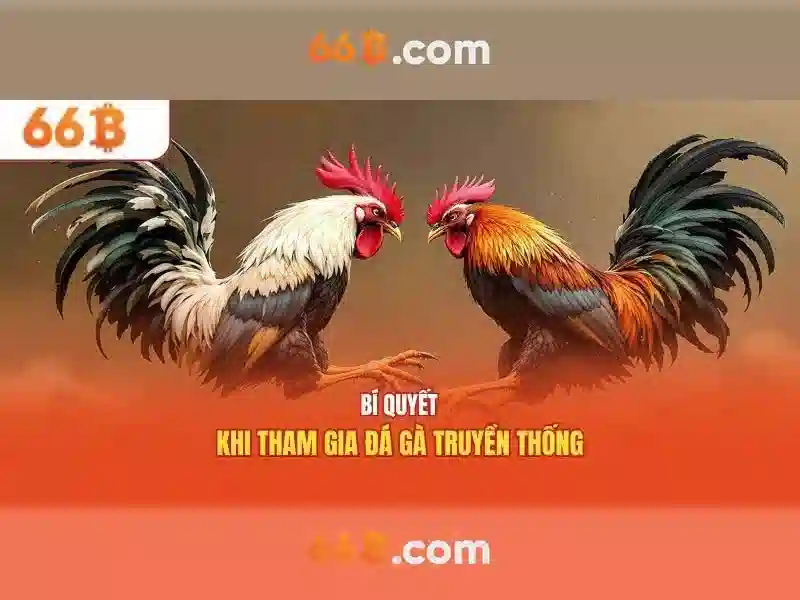 66b là gì và những ứng dụng của nó