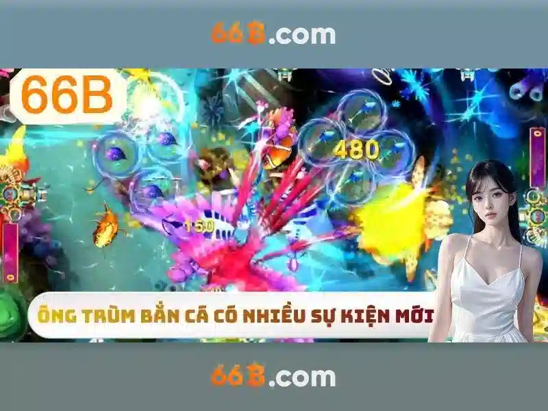 66B là gì?