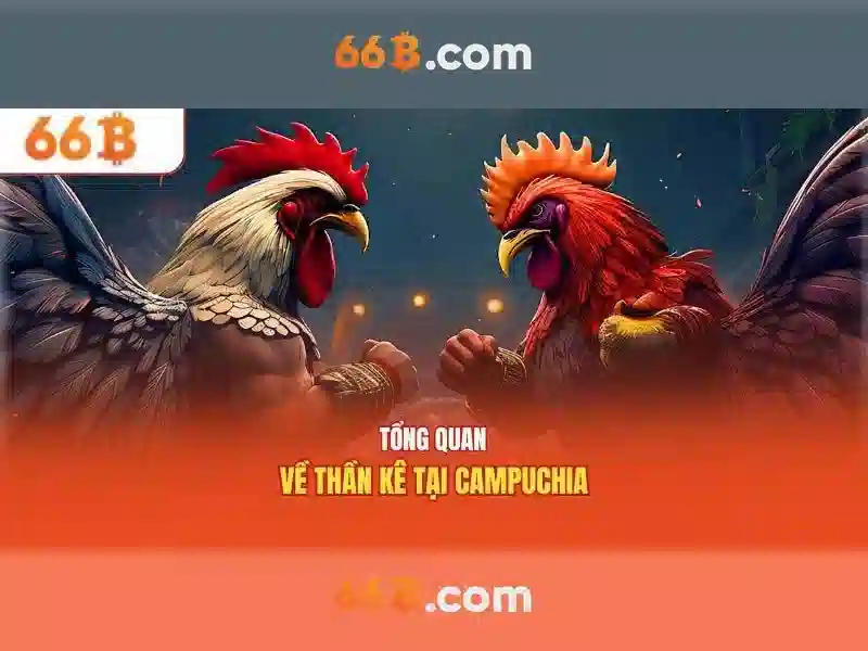 Kiến trúc và tham số\n\n