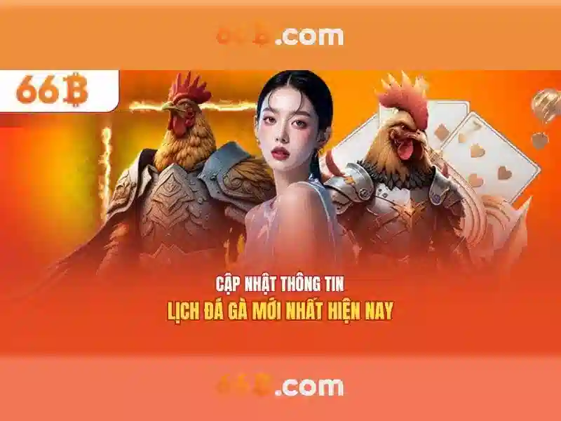 Giới thiệu về 66b