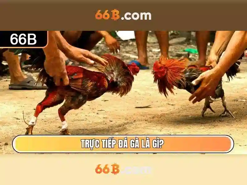 Khám phá 66b: một khái niệm và ứng dụng