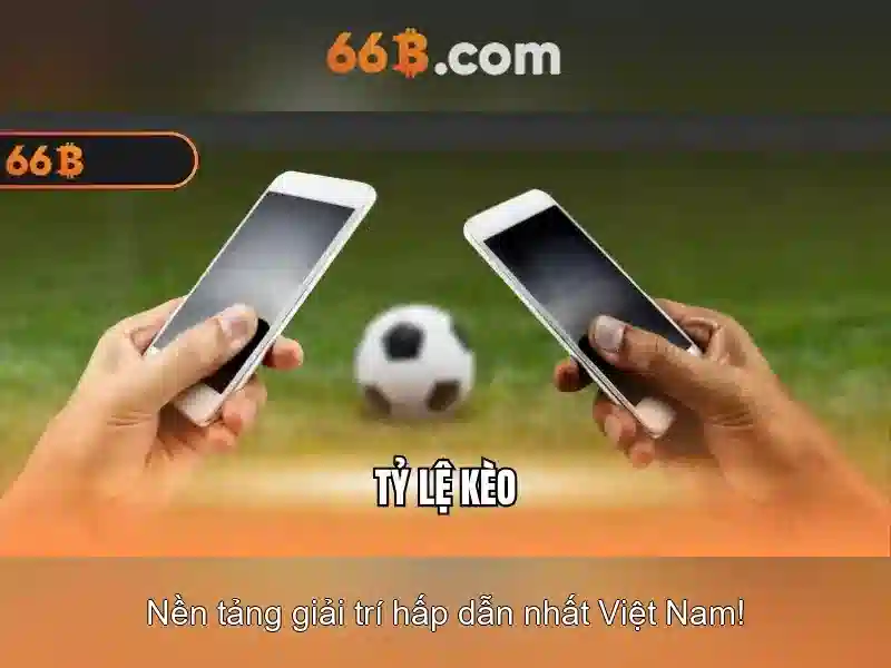 66b: Khám phá ý nghĩa và ứng dụng