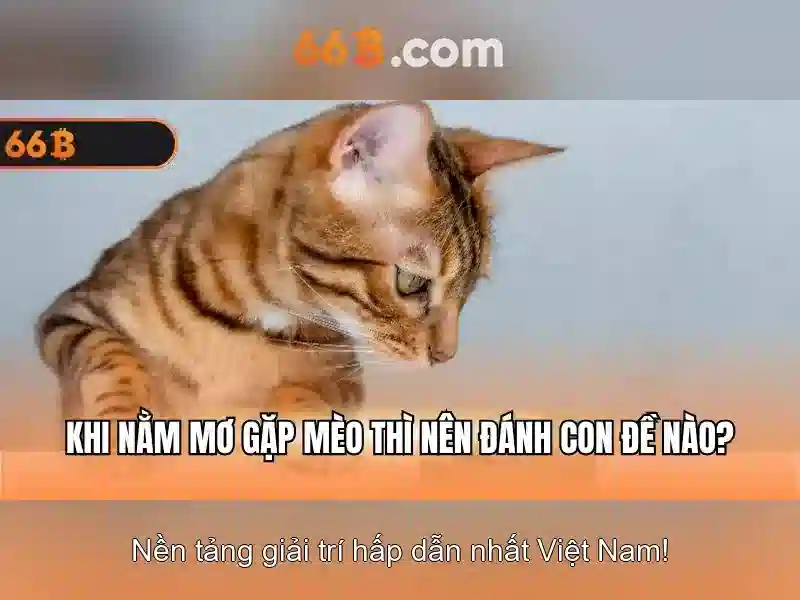 Kiến trúc và tham số\n\n