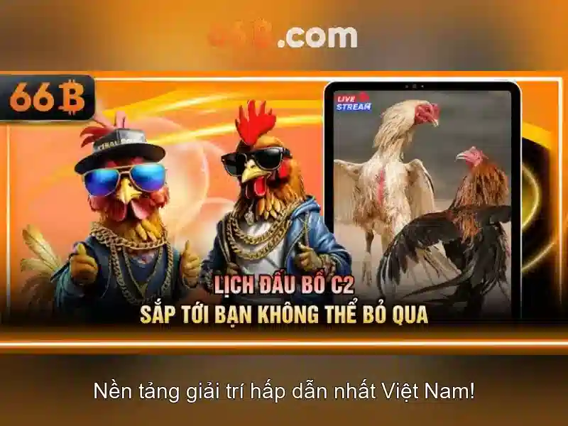 Ứng dụng và thách thức