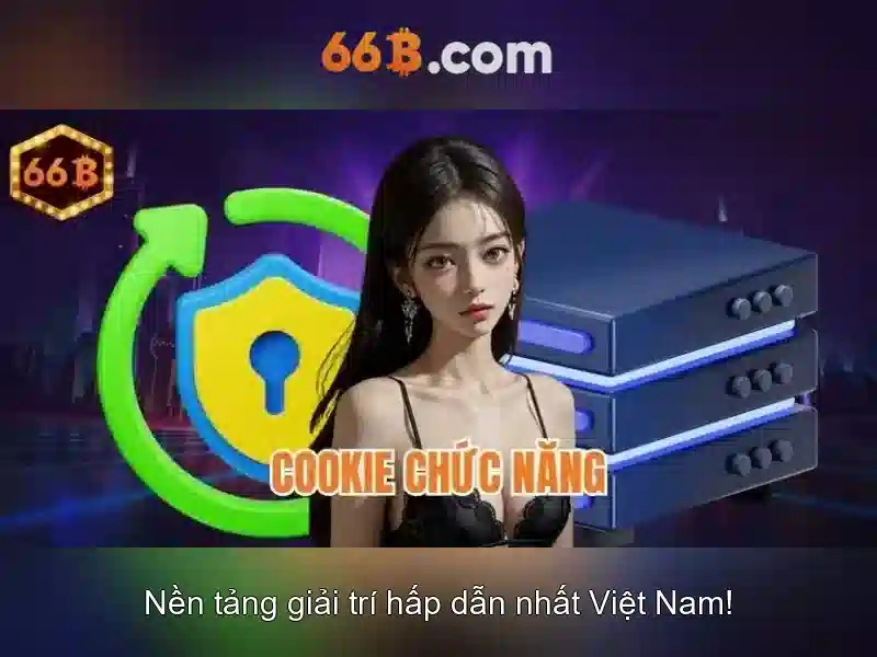 66B là gì?
