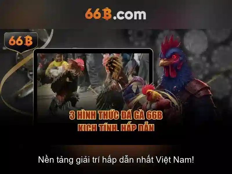 66B: một mô hình ngôn ngữ lớn và hành trình khám phá