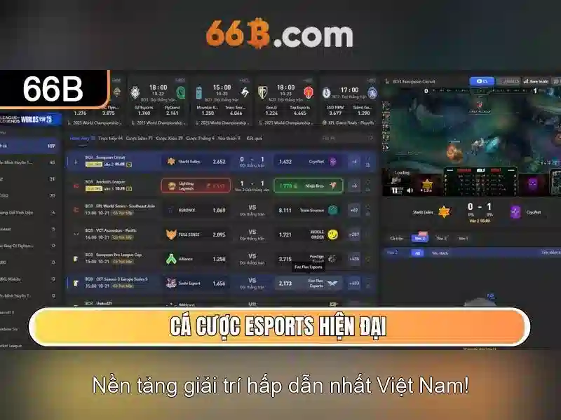66b: khái niệm, ngữ cảnh và tiềm năng