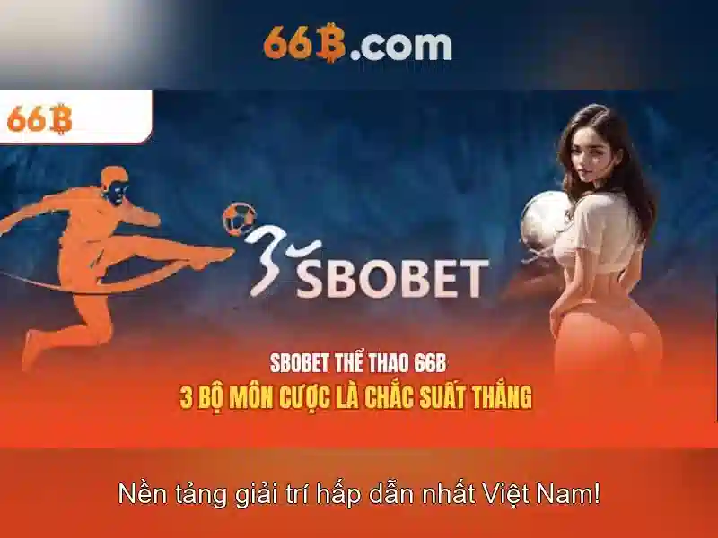 Khái niệm về 66b