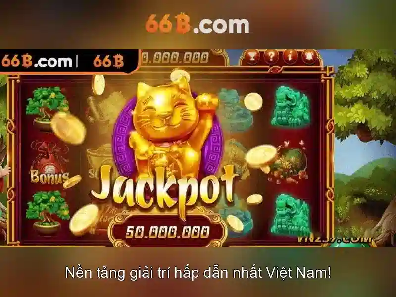 66b là gì?\n