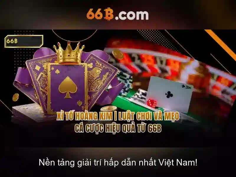 66B là gì và tại sao nó quan trọng