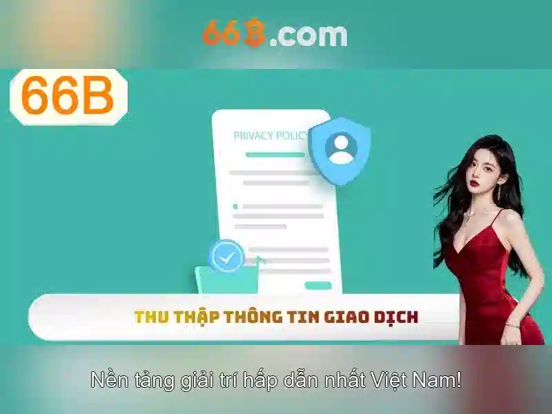 66B là gì?\n\n