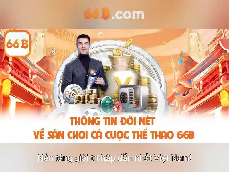 66B là gì?\n\n