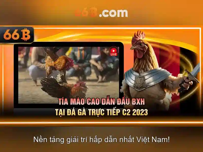 Hiệu suất và ứng dụng