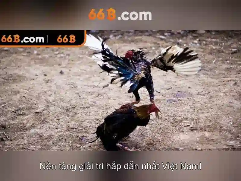 66B: mô hình ngôn ngữ quy mô lớn cho trí tuệ nhân tạo